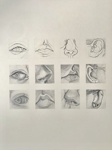 Facial Features Study in Value
